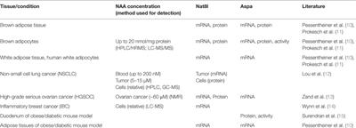 N-Acetylaspartate Metabolism Outside the Brain: Lipogenesis, Histone Acetylation, and Cancer